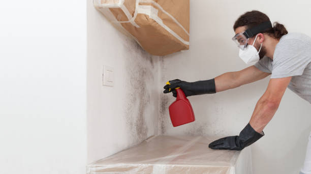Attic Mold Remediation treatment on roof deck in Plainsboro